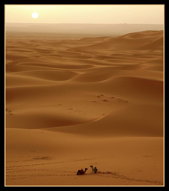 desierto1.jpg